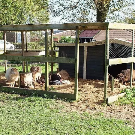 Ferienhaus Holland 74